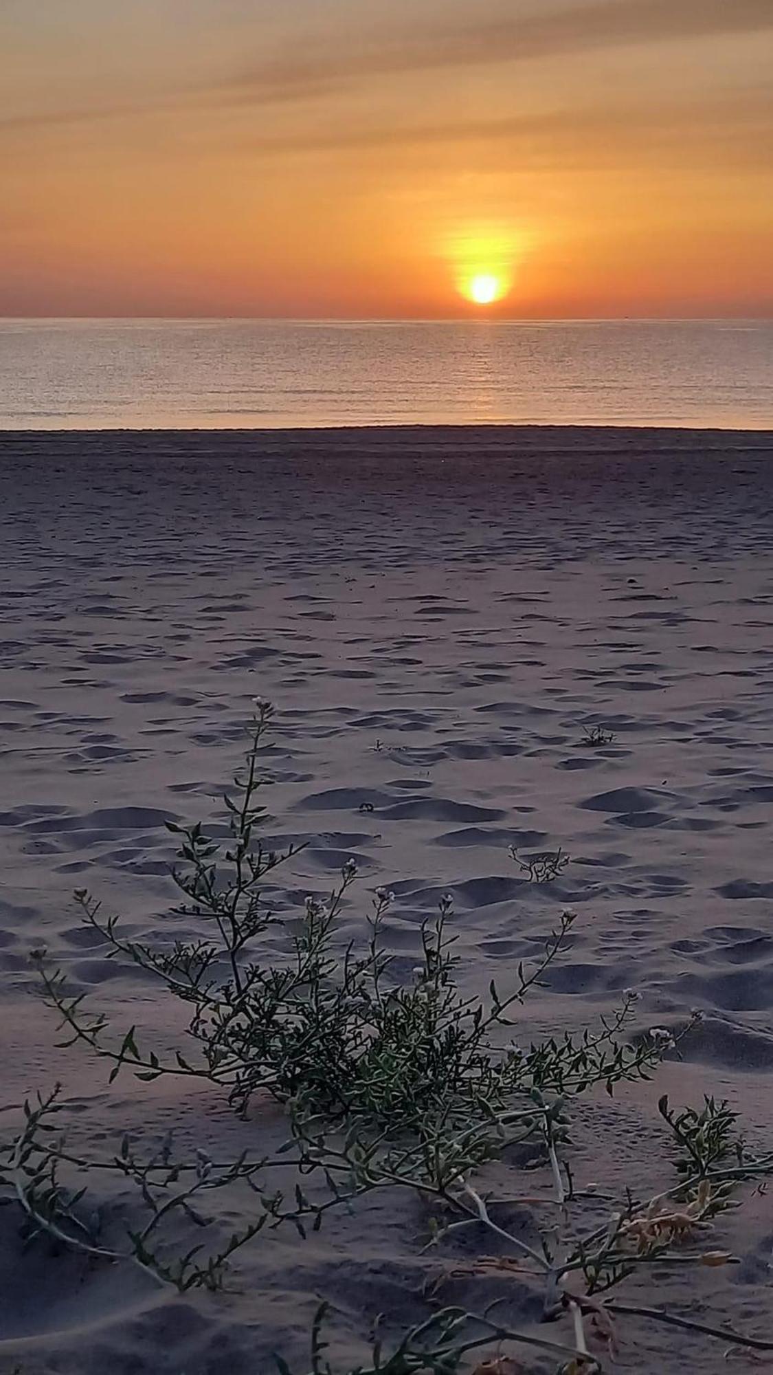 Vila Vivienda En El Campello Playa Exteriér fotografie